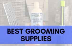 Best Grooming Supplies_Trending Breeds