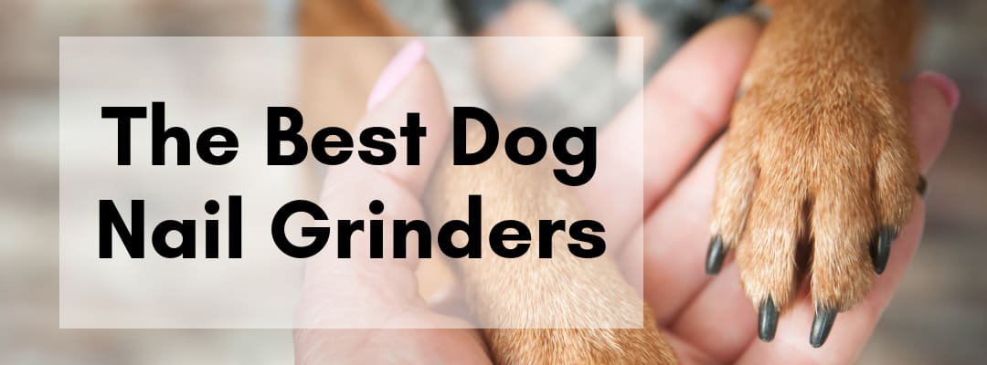 dog nail grinder with guard