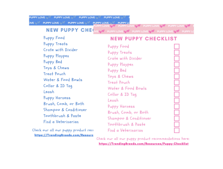 aussiedoodle puppy checklist