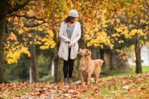 7 Reasons Why Your Dog Won’t Go Outside With Anyone but You (2024)